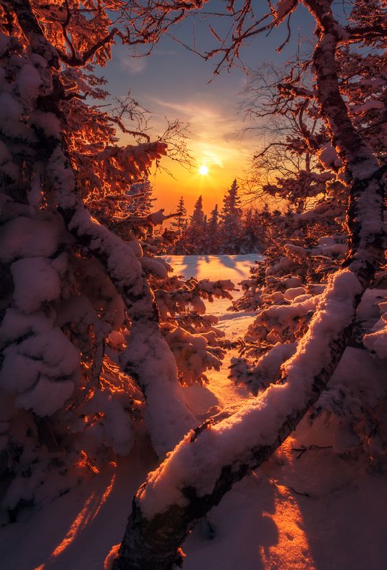 Прикольные и просто красивые картинки 30.12.2022