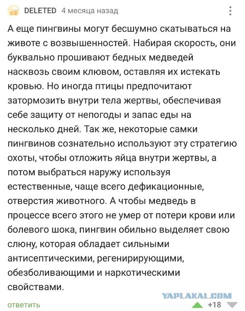 Забавные комментарии из социальных сетей (16.01.23)