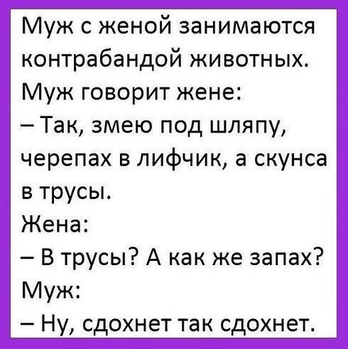 Юмор в картинках и без