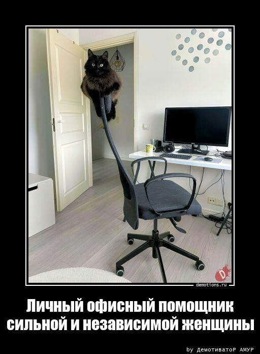 Так себе картинки 24.04.23