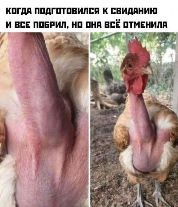 Картинки разные, на пятницу