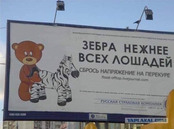 Хозяйство у жениха маленькое, жену не найдет!