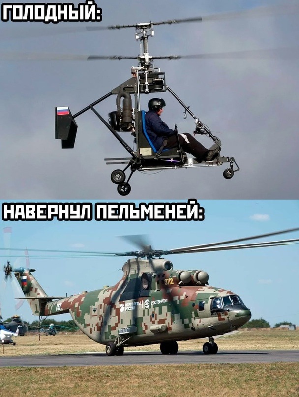 Весёлый полтишок 01.11.23