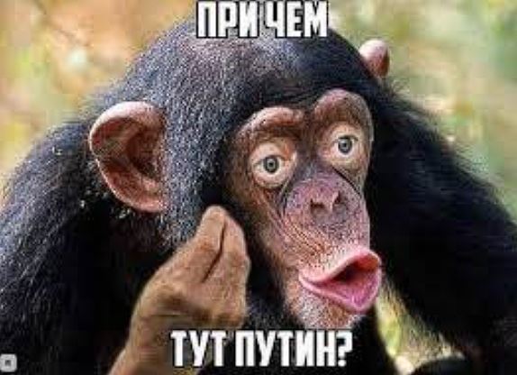 Власти: Россия готова выпускать литографы для производства микросхем по нормам 20-30 летней давности только в 2026 году