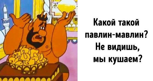 О содержании павлинов на примере нашей пары