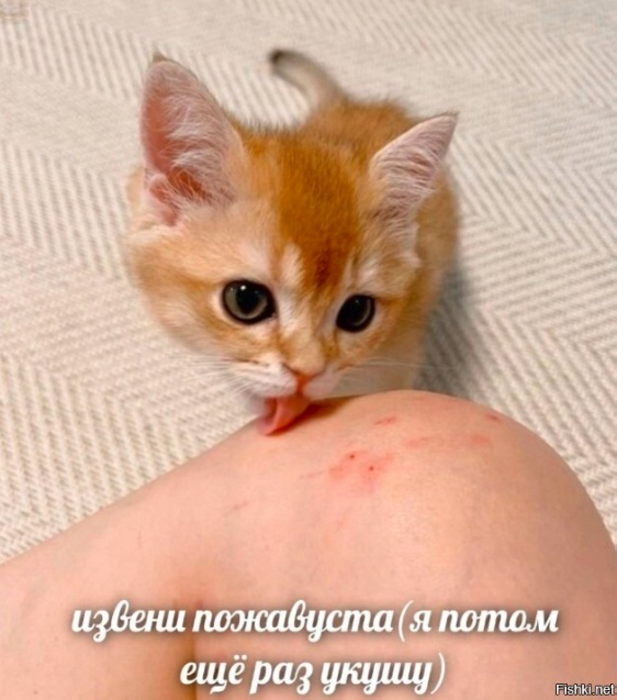 Всего понемногу. От 18.12.23