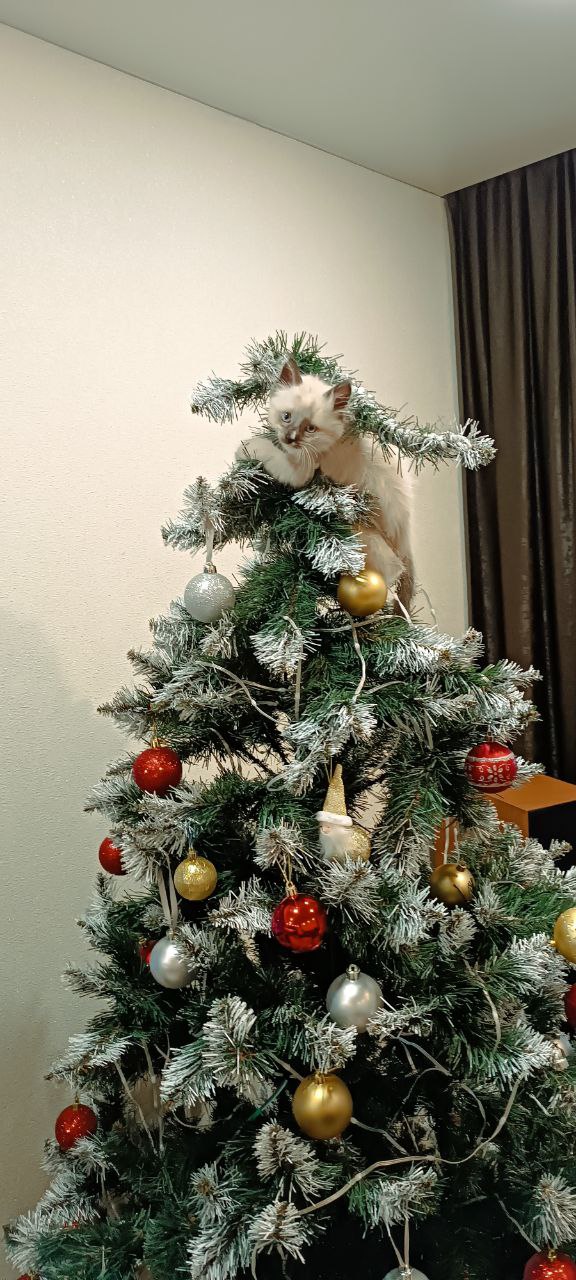 Здравствуйте, доброе утро