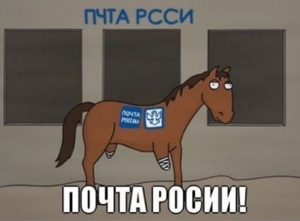За 3000 в день