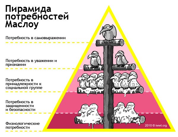 Пирамида Маслова, 5 фактов