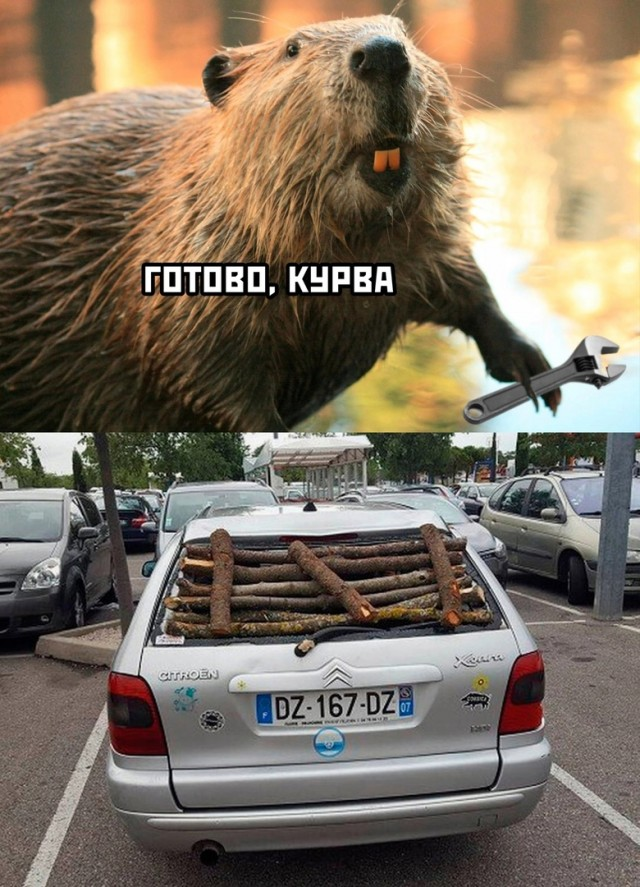 Завалялось тут случайно немного забавных картинок