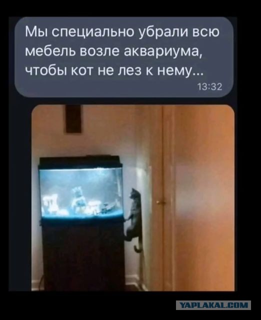 Картинки и буквы 24.06.2024