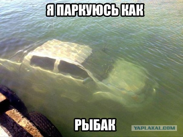 Приключение водятлов