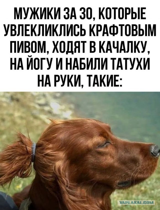 Веселые картинки в понедельник (30.09)