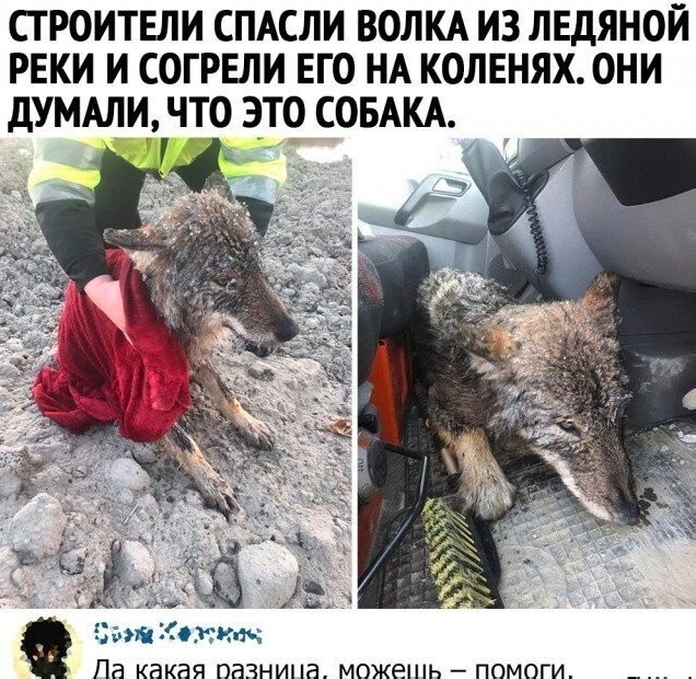 Так себе картинки 14.11.24