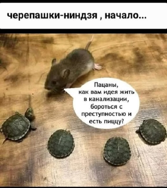 Картинки разные с надписями и без