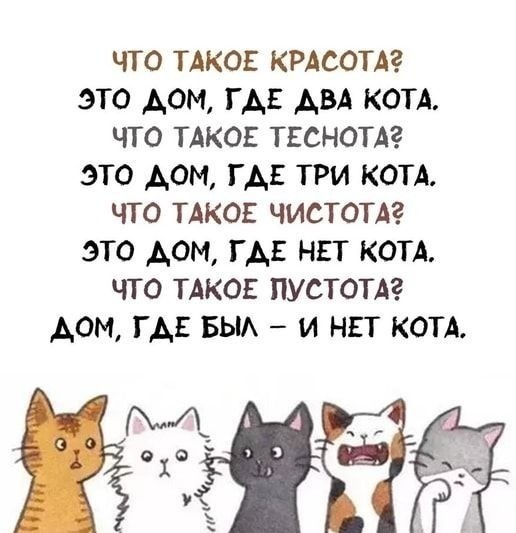 Так себе картинки 16.02.25