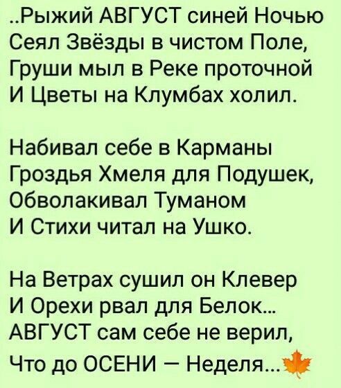 Картинки из ТГ чатов