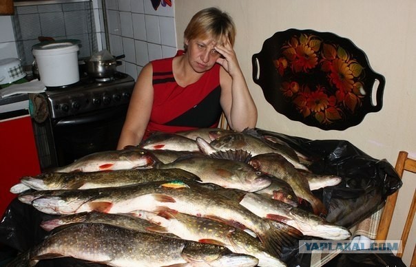 Штрафы за рыбалку в Германии