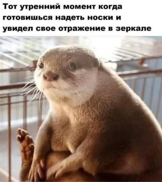 У этой бездны нет дна: минусы интернет-знакомств