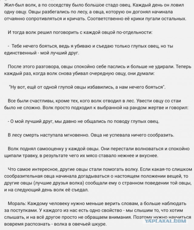 Всё, партнёры, йопта