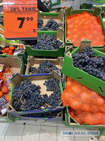 Молдавия начала процесс выхода из СНГ