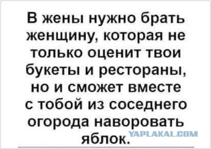 Искать свою любовь нужно не на сайтах знакомств, а на субботниках, заявили в Госдуме