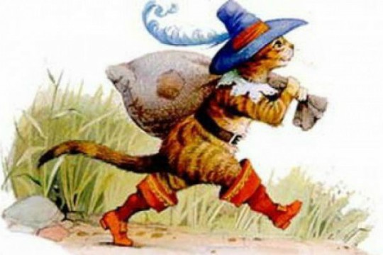 Коты ученых