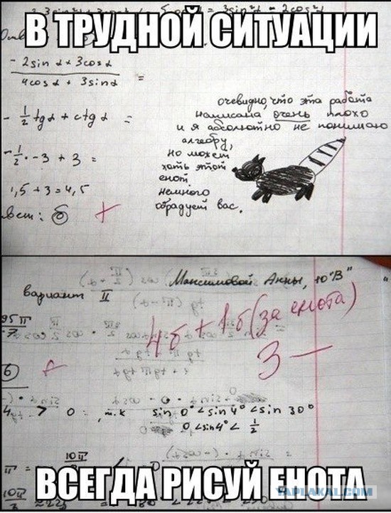 удалить! тест !