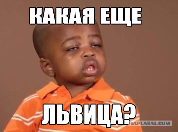 Маленькие гадёныши отравили жизнь