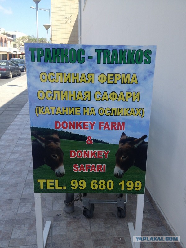Айфон.