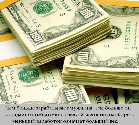 Факты в картинках