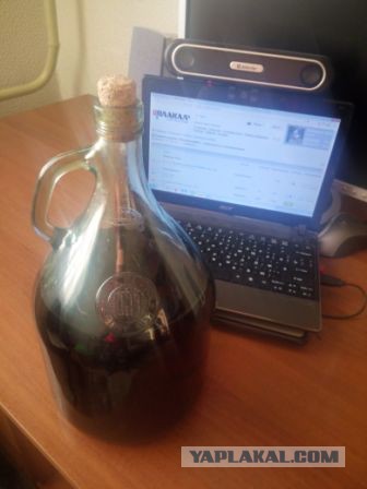 Последнее фото с Вашего телефона.