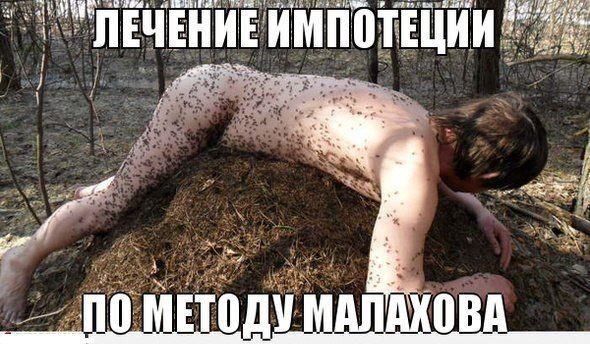 Подборка чудил из соцсетей