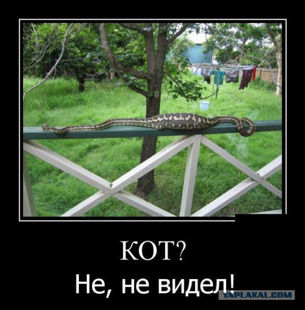 Немного позитива на пятницу