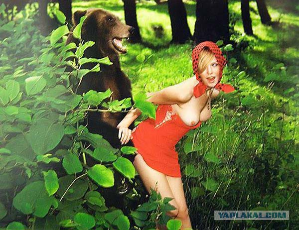 Как медведя изнасиловали