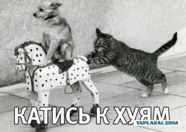 Милонов советует гомосексуалистам покинуть Россию