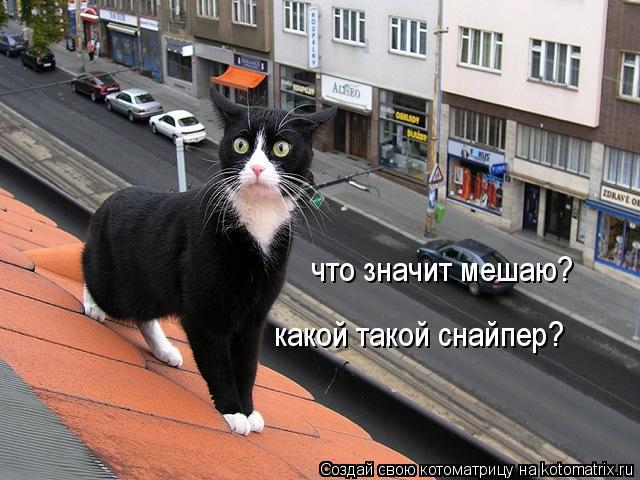 Весёлые картинки