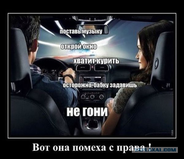 Веселые картинки
