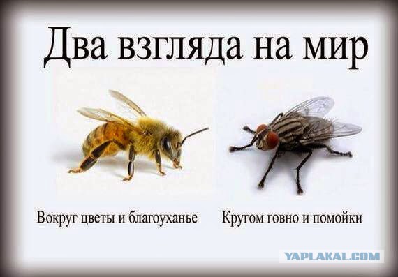 Меняя этот мир