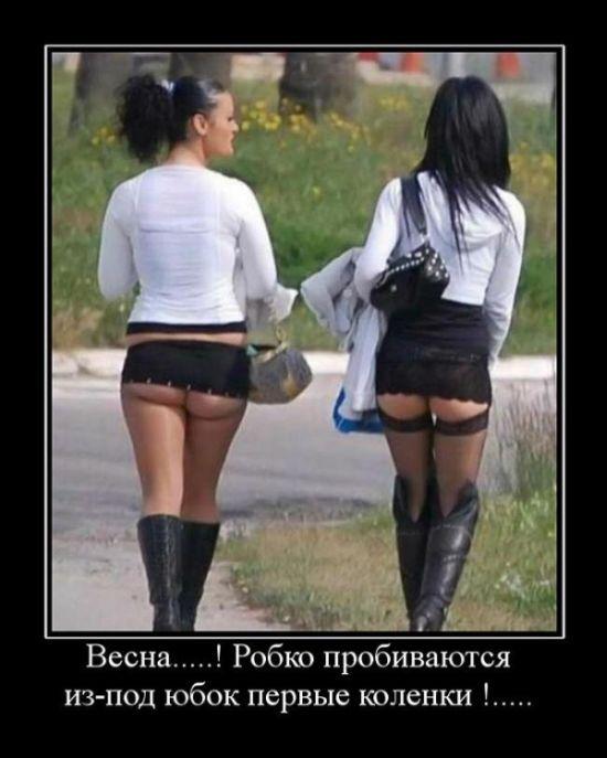 Картинки