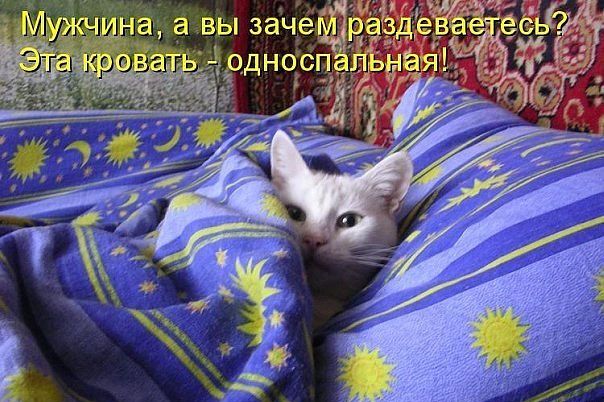 Смешные картинки и комментарии из сети