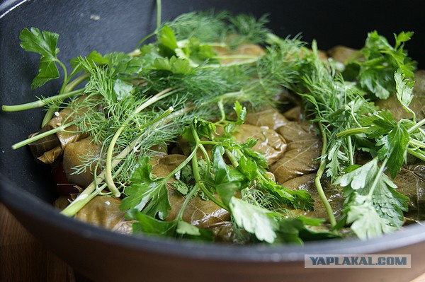 Шведский стол для Ати, Кулинары поздравляют