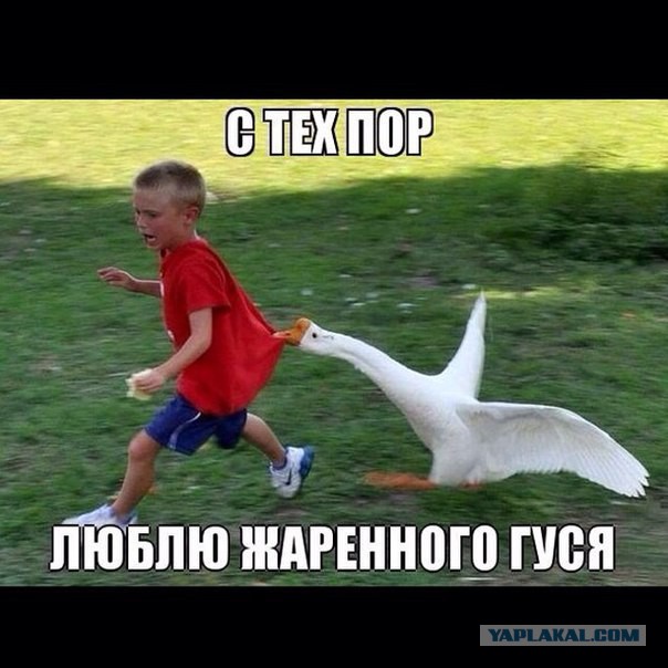 Картинки из интернета
