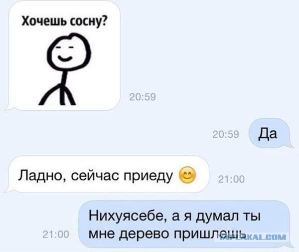 Картинки