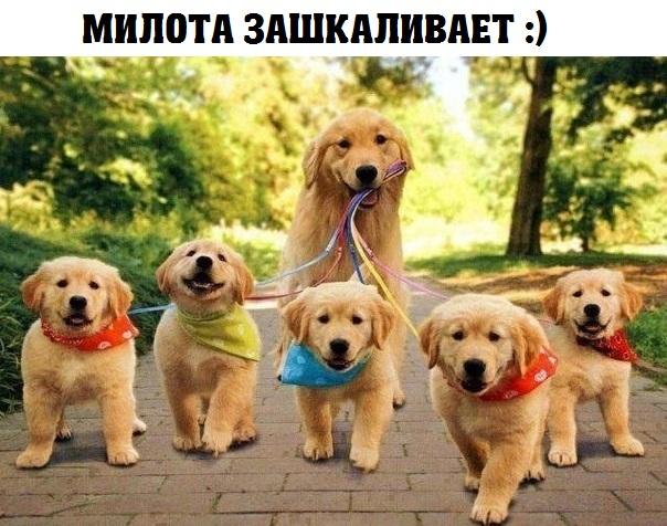 А давайте улыбнёмся