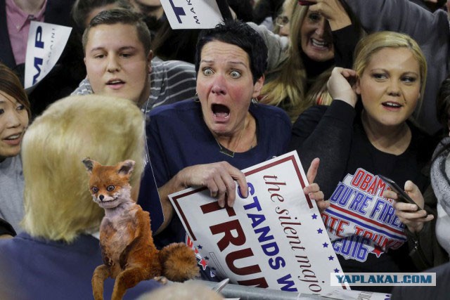 Фотожаба "Трамп удиви Меня!"