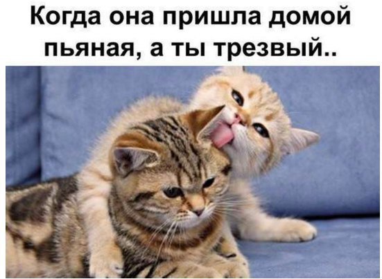 Картинки из сети