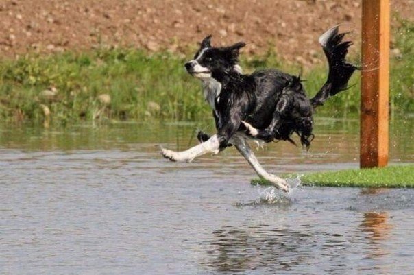 Подборка картинок на среду