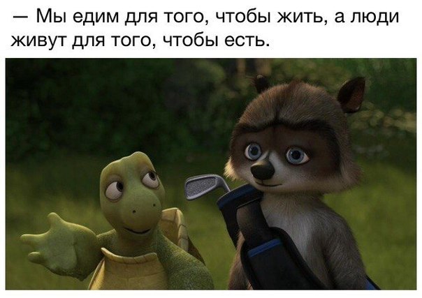 Жизненные цитаты из любимых мультфильмов