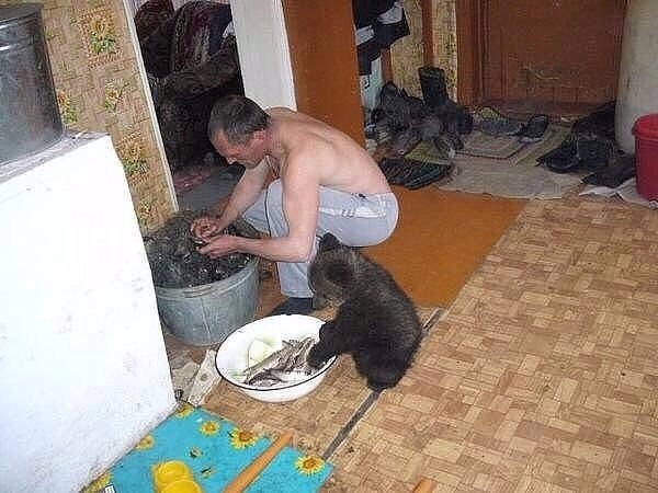 Мохнатые беспредельщики